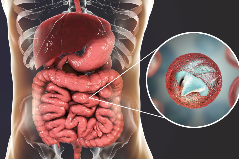 Livestream: What’s IL-23 Got to Do With It? Targeted Therapies in the Management of IBD